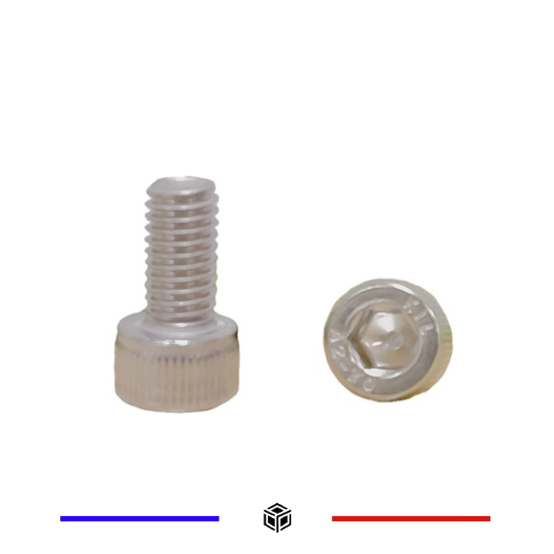10 vis de 10mm en M5 (hexagonale)