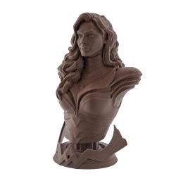 Fil 3D PLA MAT 500g 1.75 mm Chocolat