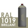 Bombe de peinture 400ml Brillant RAL 1019 Beige Gris