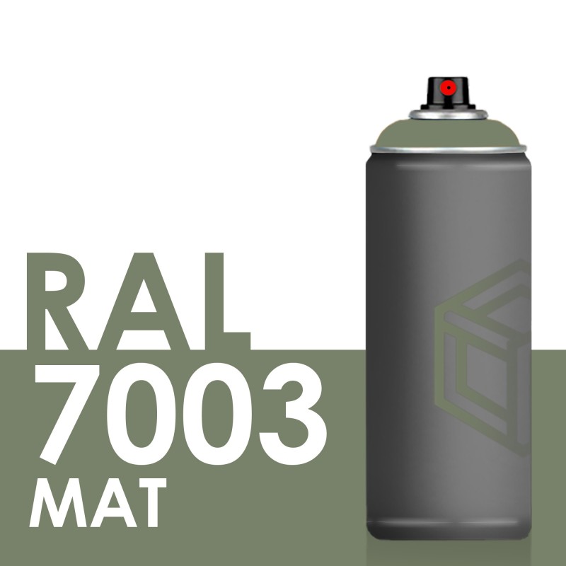 Bombe de peinture 400ml Mat RAL 7003 Gris Mousse