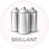 Pack Bombe de peinture brillante
